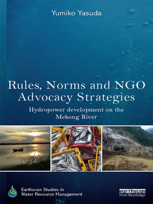cover image of Rules, Norms and NGO Advocacy Strategies